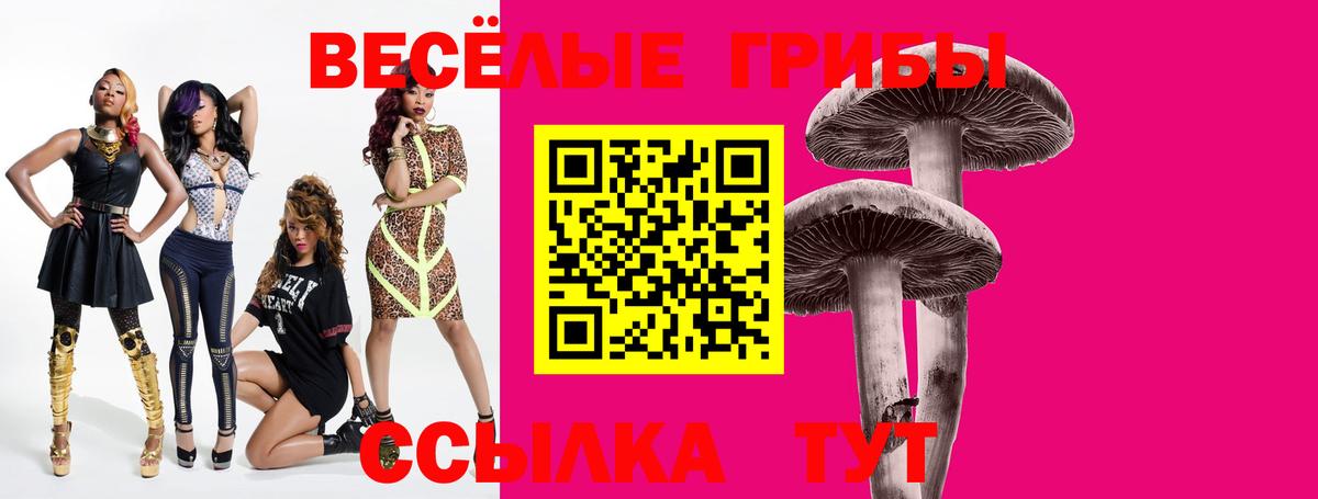 Звенигород  Псилоцибиновые грибы мухоморы  Псилоцибиновые грибы ЛСД  Вход с VPN 